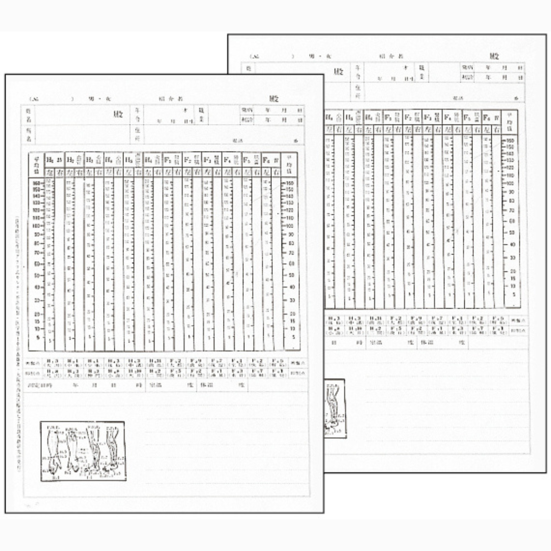 良導絡カルテ(両面)B5のみ