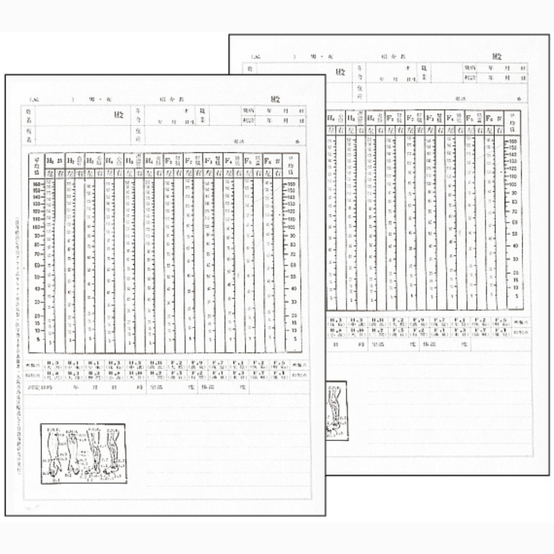 良導絡カルテ（両面）Ｂ５のみ