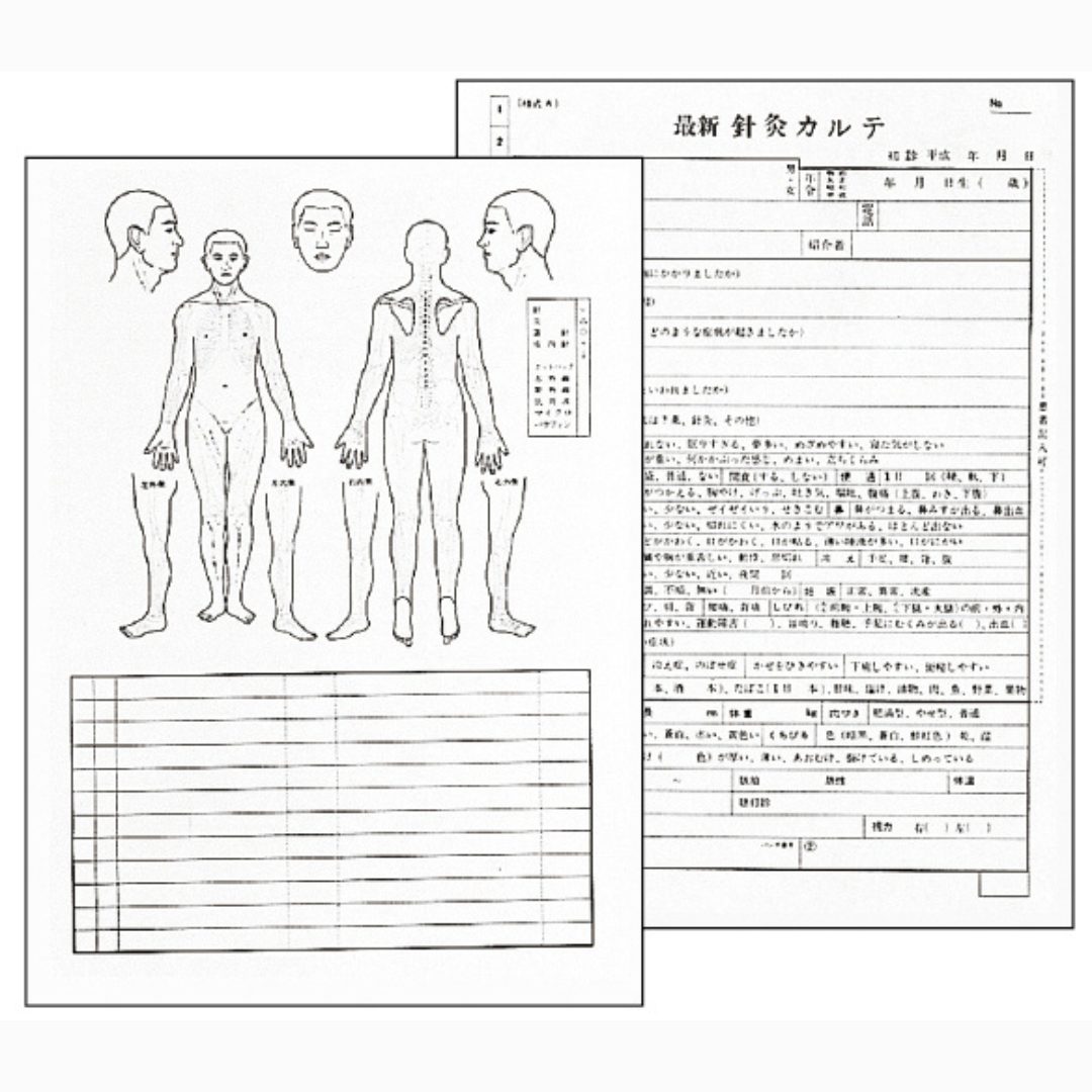 最新針灸カルテ