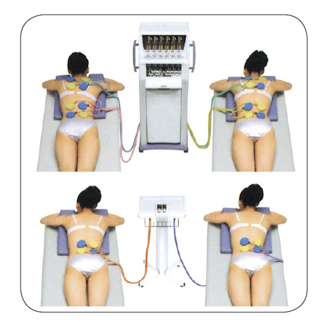 SK-10WDX2.png?v=1695725844& SK-10WDX2.png?v=1695725844&