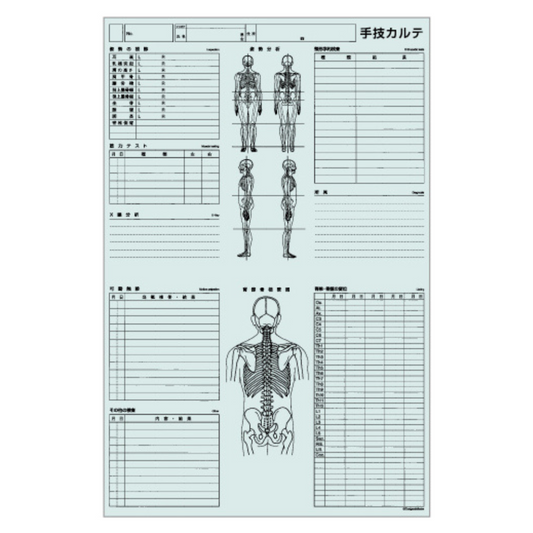 手技カルテ（大）